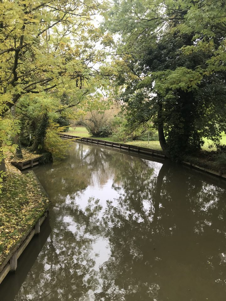 Green Windsor river 720x960 1