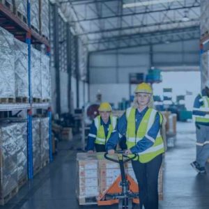 Sourcing and logistics for Reliable Delivery