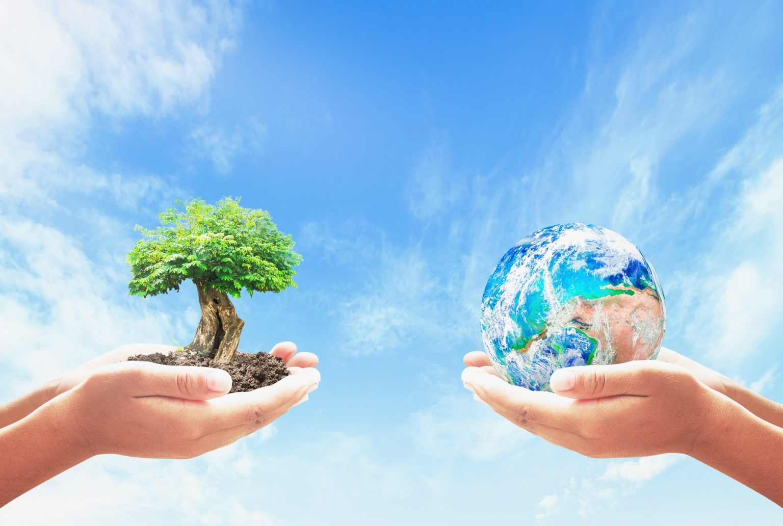 Hands holding a young tree and the Earth against a blue sky